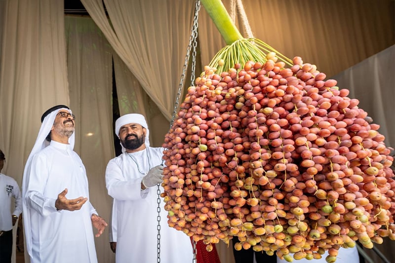 The Third Edition of Dubai Dates Officially Kicks Off