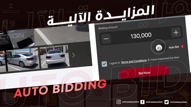 How to Auto Bidding ?